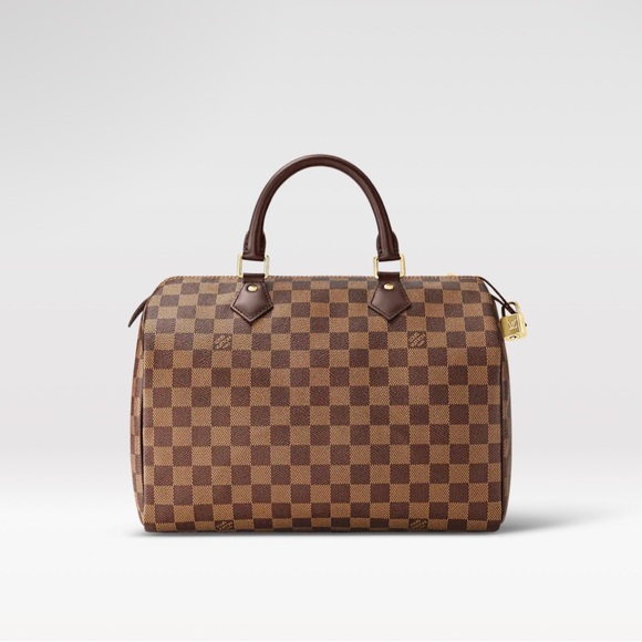 Louis Vuitton Handbags - Louis Vuitton Speedy 30 Damier